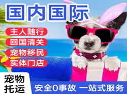 荷花空运代理国际宠物托运 【国